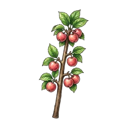 Säulenapfel – Pflanze oder Frucht