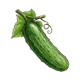 Gurken – Pflanze oder Frucht