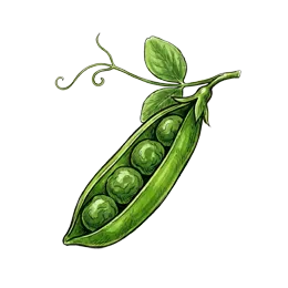 Markerbsen – Pflanze oder Frucht