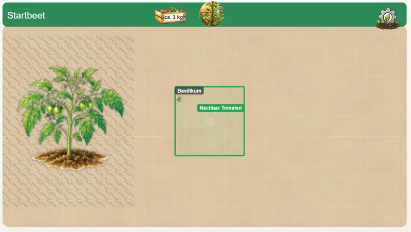 Pflanzjahr-App: Basilikum mit grünem Hinweis auf die benachbarte Tomate.