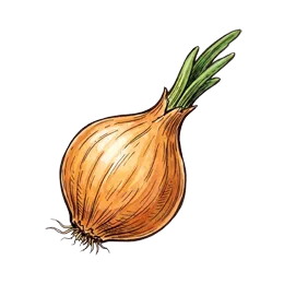 Steckzwiebeln – Pflanze oder Frucht
