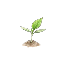 Paprika – Startphase