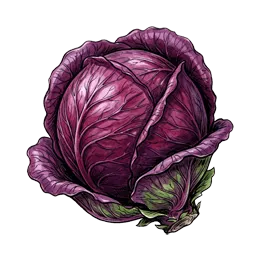 Rotkohl – Pflanze oder Frucht