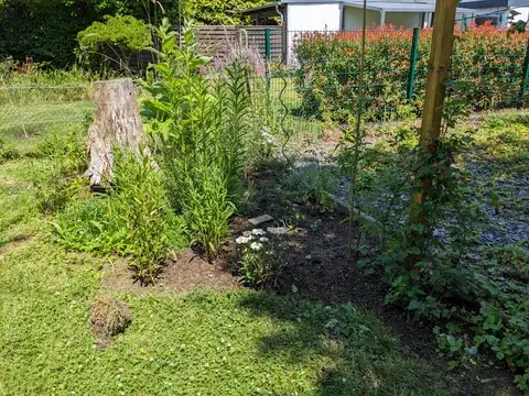 Ein alter Baumstumpf steht in einem Beet mit hohen Stauden, weißen Margeriten und einem bewachsenen Holzpfosten.