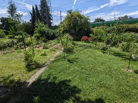 Ein schmaler Weg führt zwischen Beeten und kleinen Obstbäumen durch den sonnigen Garten.