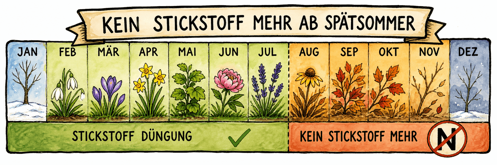 Düngekalender mit durchgestrichenem Stickstoff-Symbol ab dem Spätsommer