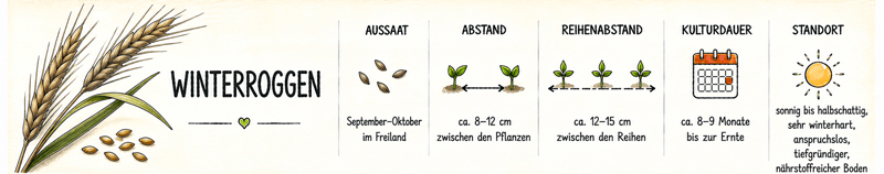 Steckbrief Winterroggen: Aussaat September bis Oktober im Freiland, 8–12 cm Pflanzabstand, 12–15 cm Reihenabstand, 8–9 Monate Kulturdauer, sonnig bis halbschattig